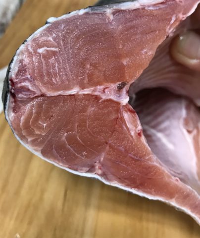 ロックトラウト入荷致しました